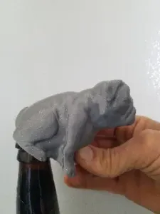 Buddy Bottle Opener