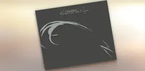 Cocteau Twins Heaven or Las Vegas album art poster