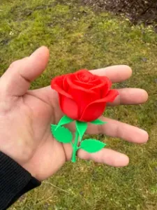 Beautiful realistic Valentine roses