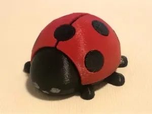 Ladybug (beruška)