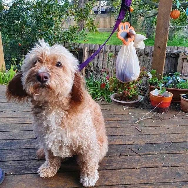HANDS FREE DOG POOP BAG CARRY CLIP — Фото 8 из 13