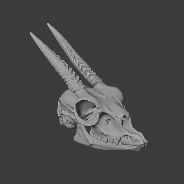 Dik-dik Skull — Фото 4 из 8