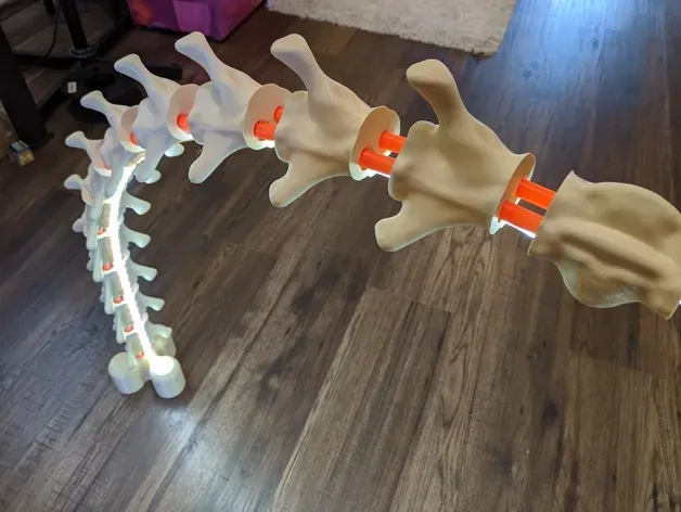 LED bridge lamp - Spine Bone — Фото 5 из 7