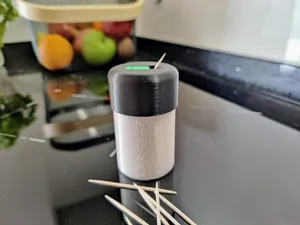 Toothpick holder