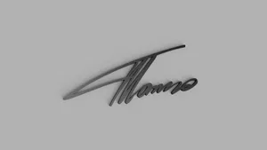 Fernanado Alonso Signature