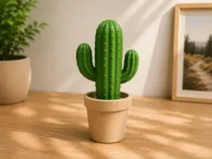 Cute Cactus in Pot – Simple Home Decoration