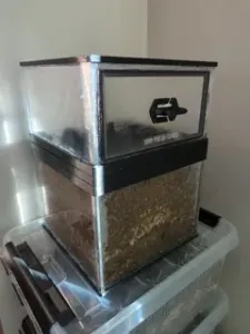 Modular Edible Mushroom Growbox Monotub MK1