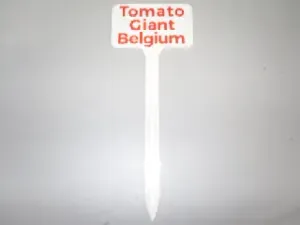 Plant Label Tomato Giant Belgium