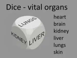 dice - vital organs