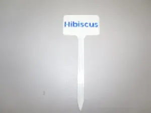 Plant Label Hibiscus