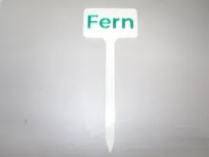 Plant Label Fern