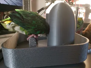 parrot no mess tray + feeder