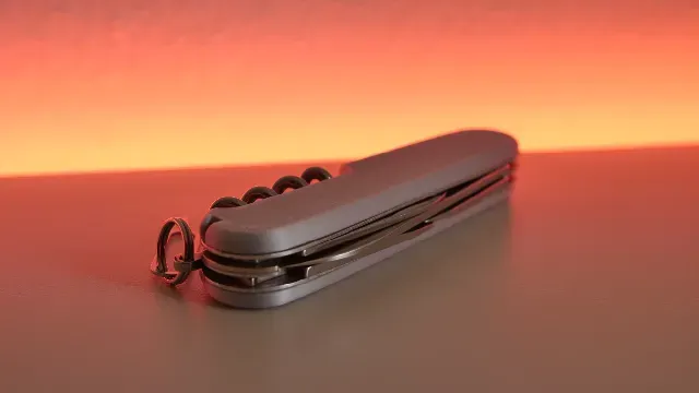 Victorinox Swiss Army Knife 91 mm scales — Image 4 of 11