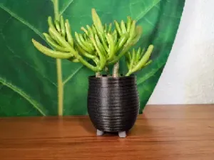 Tiny Legged Plant Pot