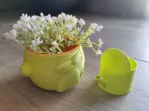Frog Pot (Self-Watering for Plants)
