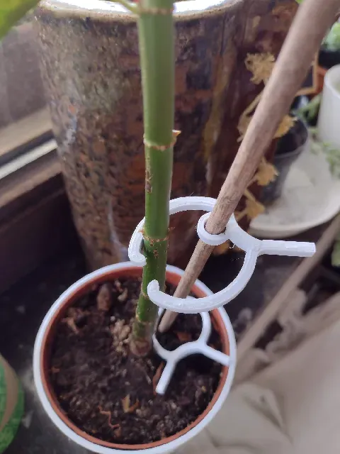 Plantenclip voor een rond steunstokje, Plant clip for a round support stick.