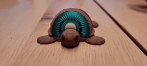 Kiwi Turtle – Articulated flexi Companion