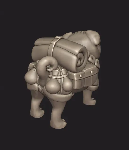 Pack Pug — Фото 2 из 5
