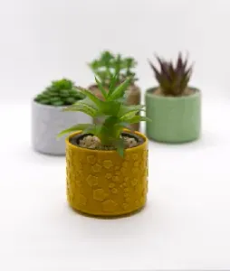 Vase #6 - Pentagon Pattern