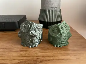 Smiling Owl
