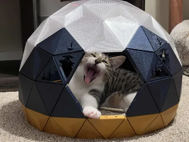 Geodesic Dome Cat House - Pine Tree Cutouts