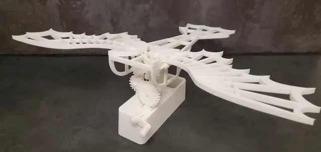 Flying Machine Da Vinci style