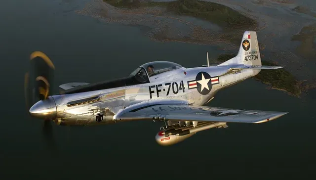 P-51D Mustang Airplane | 1-100 Scale — Фото 4 из 4