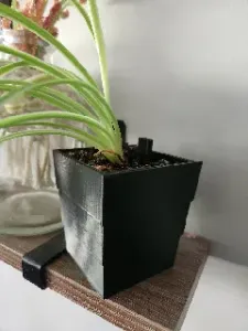 Self Watering Pot