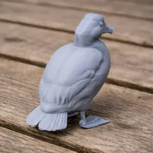 Andean duck