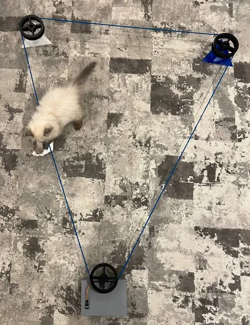 Pulley-Driven Toy Chaser: A Remote-Controlled Play Experience for Pets — Фото 6 из 9