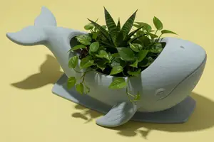 Whale Planter Pot Cute Animal Succulent Indoor Plant Holder