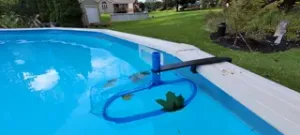 Leaf Skimmer