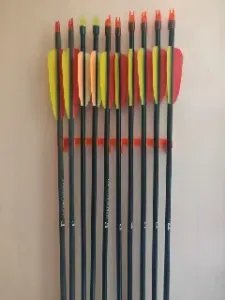 Arrow holder