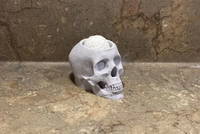 Action Skull with Bobblehead Brain — Image 4 of 4