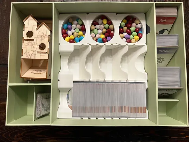 Wingspan Nesting Box Insert / Organizer - Holds All Current Expansions and Room for More — Фото 15 из 16