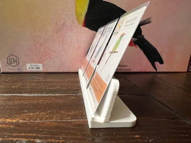 Wingspan Nesting Box Insert / Organizer - Holds All Current Expansions and Room for More — Фото 5 из 16