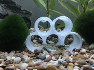 Shrimp Tubes (with / without feet) for Aquarium / Fish Tank