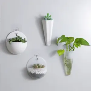 Planter 21 - Hang In There, Set