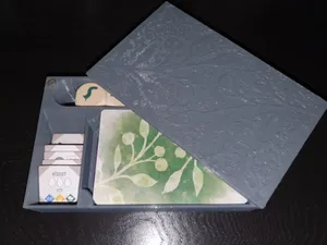 Magnetic wingspan box for accessories