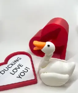 Heart Gift Box for Flexi Duck