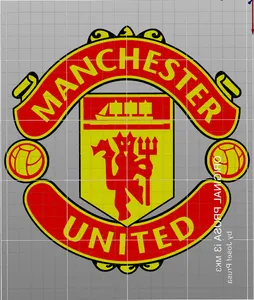 Manchester United multi color.