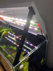 Support for the aquarium cover