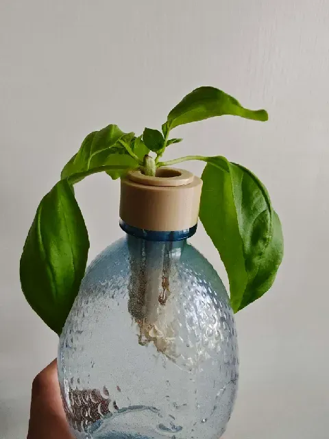 PET Bottle Hydroponics Kit — Net Pot + Snap Caps for 28 mm & 38 mm Bottles (Kratky) — Фото 3 из 4