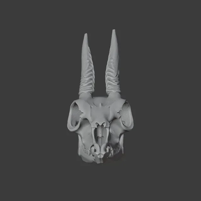 Dik-dik Skull — Фото 3 из 8