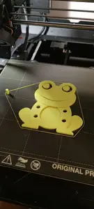 Frog on the spring