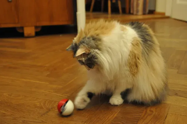 Pokeball treat toy for cats — Image 3 of 8