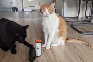 Cat treat fumble roll toy