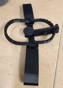 Bear Trap