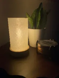 Lamp Shade