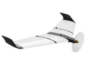 RC flying wing Sine qua non II
